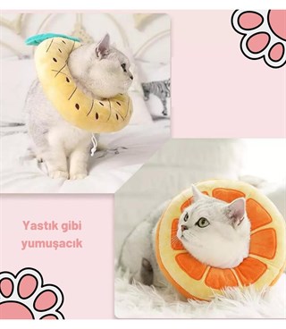 Kedi ve Köpek Koruyucu Şişme Yakalık BuShop Yüksek Kalite %100 Pamuk Portakal Modeli Medium