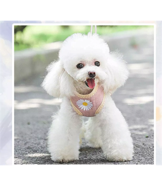 Kedi ve Yavru Köpek Göğüs Tasması Gezdirme Seti Papatya modeli pembe M BuShop