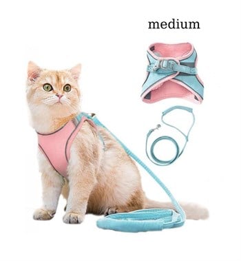 Kedi ve Yavru Köpek Göğüs Tasması Gezdirme Seti 2 Li M BuShop