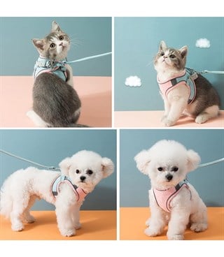 Kedi ve Yavru Köpek Göğüs Tasması Gezdirme Seti 2 Li M BuShop