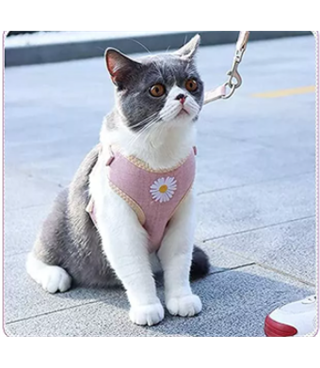 Kedi ve Yavru Köpek Göğüs Tasması Gezdirme Seti Papatya modeli pembe M BuShop