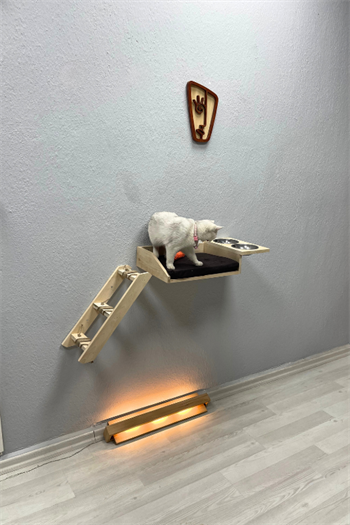 kedi yatağı kedi duvar hamağı ve mama kabı kedi ahşap hamak kedi mama ve su kabı margherita modeli