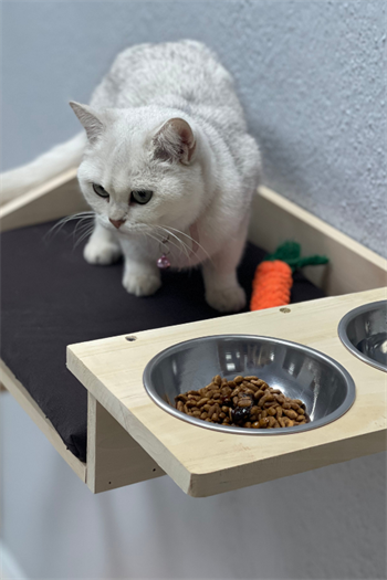 kedi yatağı kedi duvar hamağı ve mama kabı kedi ahşap hamak kedi mama ve su kabı margherita modeli