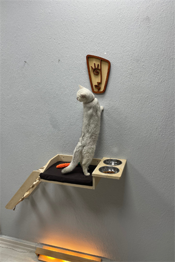 kedi yatağı kedi duvar hamağı ve mama kabı kedi ahşap hamak kedi mama ve su kabı margherita modeli