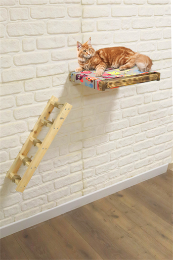 Kedi yatağı Kedi evi ve Kedi merdiveni takımı Sağ Sol Uyumlu Bushop Antique Duvara Monte Kedi Hamağı 