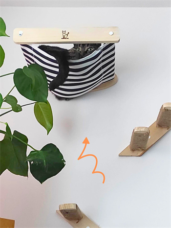 Kedi Yatağı, Kedi Yuvası, ve Kedi duvar yatağı, Kedi hamağı, + Sol Tip Kedi Tırmanma Merdiveni, 2li Ahşap Modern Set, BuShop Black Zebra Serisi 