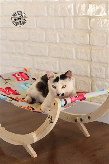 Kedi yatağı ve Kedi Hamağı, İkisi Bir Arada, Kedi Şezlongu, Köpek Yatağı, BuShop Owl
