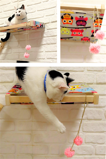 Kedi yatağı ve Kedi merdiveni takımı Kedi evi Duvara Monte Kedi Hamağı Bushop Kuş 6 Parça