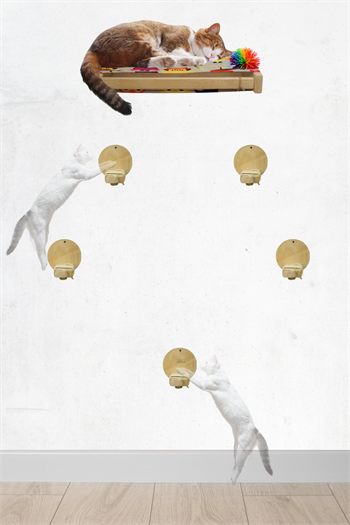 Kedi yatağı ve Kedi merdiveni takımı Kedi evi Duvara Monte Kedi Hamağı Bushop Kuş 6 Parça