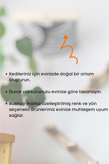 Kedi yatağı ve Kedi merdiveni takımı Kedi evi Duvara Monte Kedi Hamağı Bushop Kuş 6 Parça