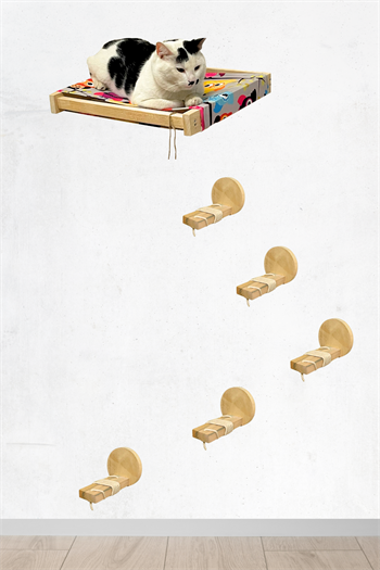 Kedi yatağı ve Kedi merdiveni takımı Kedi evi Duvara Monte Kedi Hamağı Bushop Kuş 6 Parça