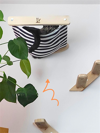 Kedi Yuvası, Kedi duvar yatağı, Kedi Yatağı, Kedi hamağı, Ahşap Modern Set, BuShop Black Zebra Serisi 