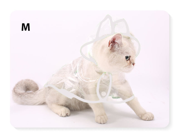 Kediler için şeffaf Yağmurluk Beyaz Medium