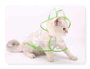 Kediler için şeffaf Yağmurluk Pembe  Medium