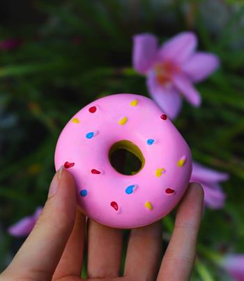 Köpek diş temizleyici ve çiğneme oyuncağı-Sağlam yapı-Estetik görünüm-Bushop Donut Pembe