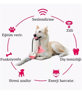 Köpekler için eğitici interaktif oyuncak- Güçlü vantuz ile yere sabitlenir-Eğitir-Ödül maması verir-Bushop Pembe