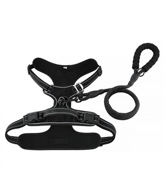 Köpek Göğüs Tasması Gezdirme Seti 2 Li S-110CM-Siyah BuShop