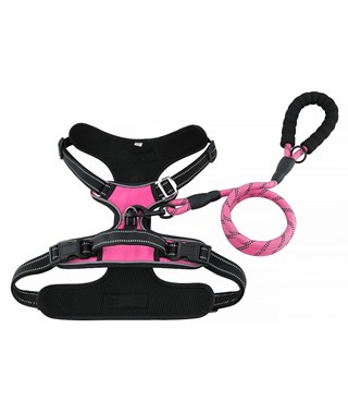 Köpek Göğüs Tasması Gezdirme Seti 2 Li Pembe L BuShop