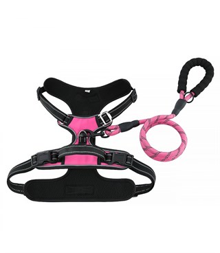 Köpek Göğüs Tasması Gezdirme Seti 2 Li Pembe M-110cm-BuShop