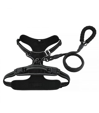 Köpek Göğüs Tasması Gezdirme Seti 2 Li L Siyah BuShop