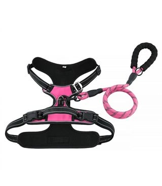 Köpek Göğüs Tasması Gezdirme Seti 2 Li Pembe S-110cm-BuShop