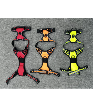 Köpek Göğüs Tasması Gezdirme Seti 2 Li Kırmızı Siyah Large  BuShop