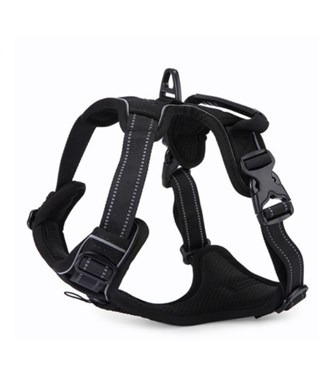 Köpek Göğüs Tasması Gezdirme Seti 2 Li Pembe M-110cm-BuShop