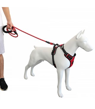 Köpek Göğüs Tasması Gezdirme Seti 2 Li Kırmızı Siyah Large  BuShop