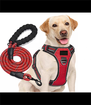 Köpek Göğüs Tasması Gezdirme Seti 2 Li M-110CM- Siyah BuShop