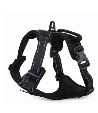 Köpek Göğüs Tasması Gezdirme Seti 2 Li S-110CM-Siyah BuShop