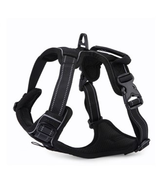 Köpek Göğüs Tasması Gezdirme Seti 2 Li L Siyah BuShop