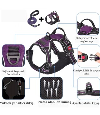 Köpek Göğüs Tasması Gezdirme Seti 2 Li L Siyah BuShop