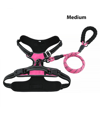 Köpek Göğüs Tasması Gezdirme Seti 2 Li Pembe M-110cm-BuShop