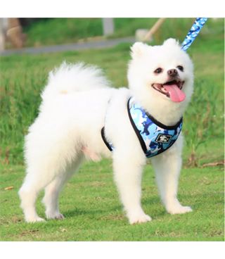 Köpek Göğüs tasması Koşu Takımı Dörtlü set BuShop S Mavi