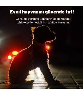 Köpek Tasmaları Led Işık Köpek Tasması Özel Etiketli BuShop Yansıtıcı Kırmızı M