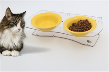 Köpek Kedi Mama Ve Su Kabı-Seramik İki Adet Kase Hediyeli-Yeni Nesil-Pleksiglas-Şeffaf-BuShop Ghost