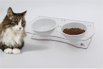 Köpek Kedi Mama Ve Su Kabı-Kırılmaz Melamin İki Adet Kase Hediyeli-Yeni Nesil-Pleksiglas-Şeffaf-BuShop Ghost