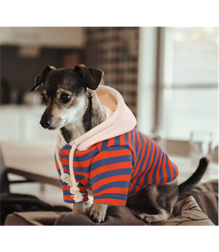 Köpek kıyafeti Kapüşonlu sweat & Lüx Kumaş Medium