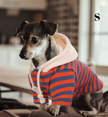 Köpek kıyafeti Kapüşonlu sweat & Lüx Kumaş Small