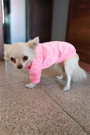 Köpek Kıyafeti ve Elbisesi Kaliteli kumaş Pembe Medium