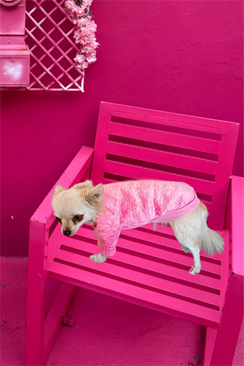 Köpek Kıyafeti ve Elbisesi Kaliteli kumaş Pembe Medium