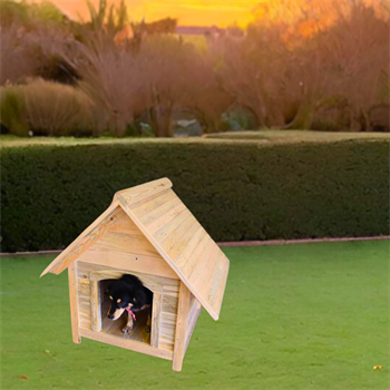 Köpek Kulübesi ve köpek  evi pro  doğal ahşap ısı yalıtımlı su geçirmez