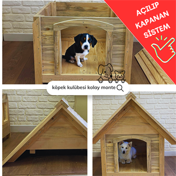 Köpek Kulübesi ve köpek  evi pro  doğal ahşap ısı yalıtımlı su geçirmez