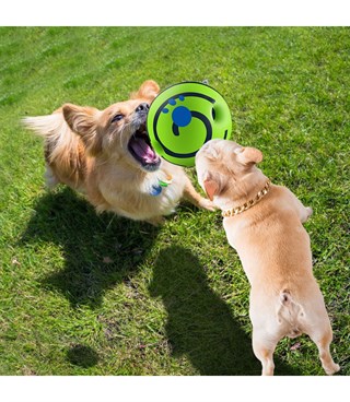 Köpek Ses Çıkaran Topu-14CM-Dayanıklı ve Eğitici-BuShop Yeşil