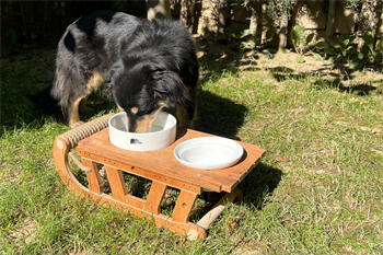 Köpek Mama Ve Su Kabı-Seramik İki Adet Kase Hediyeli-Özel Tasarım-Ahşap-Lüx Armut Kiraz-BuShop Kızak Preminyum