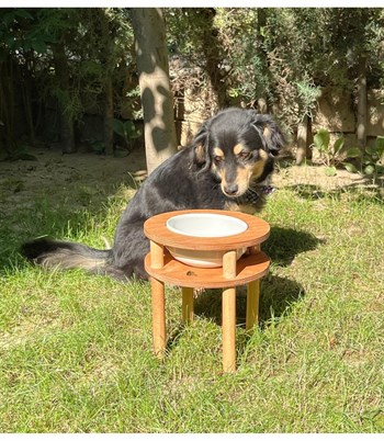 Köpek Mama ve Su Kabı Tekli-Seramik Beyaz Kase BuShop Kaliteli Ahşap Cindy Serisi