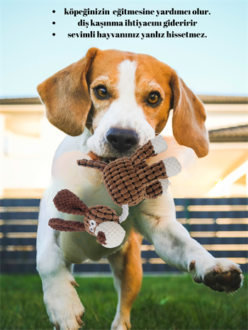 Köpek oyuncağı, köpek çiğneme oyuncak, eğitici köpek oyuncak ve Sağlam yapı-kaliteli ip- kahverengi donkey modeli 