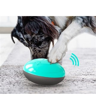 Köpek oyuncağı  Zeka geliştirir BuShop Ultra Dayanıklı  Baskı altında mama verir  Ses Çıkartır Mavi