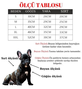Köpek Tasmaları Led Işık Köpek Tasması Özel Etiketli BuShop Yansıtıcı Kırmızı M