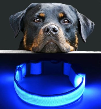 Köpek Tasmaları Led Işık Köpek Tasması Özel Etiketli BuShop Yansıtıcı M Mavi